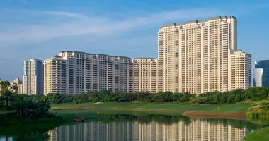 dlf camellias